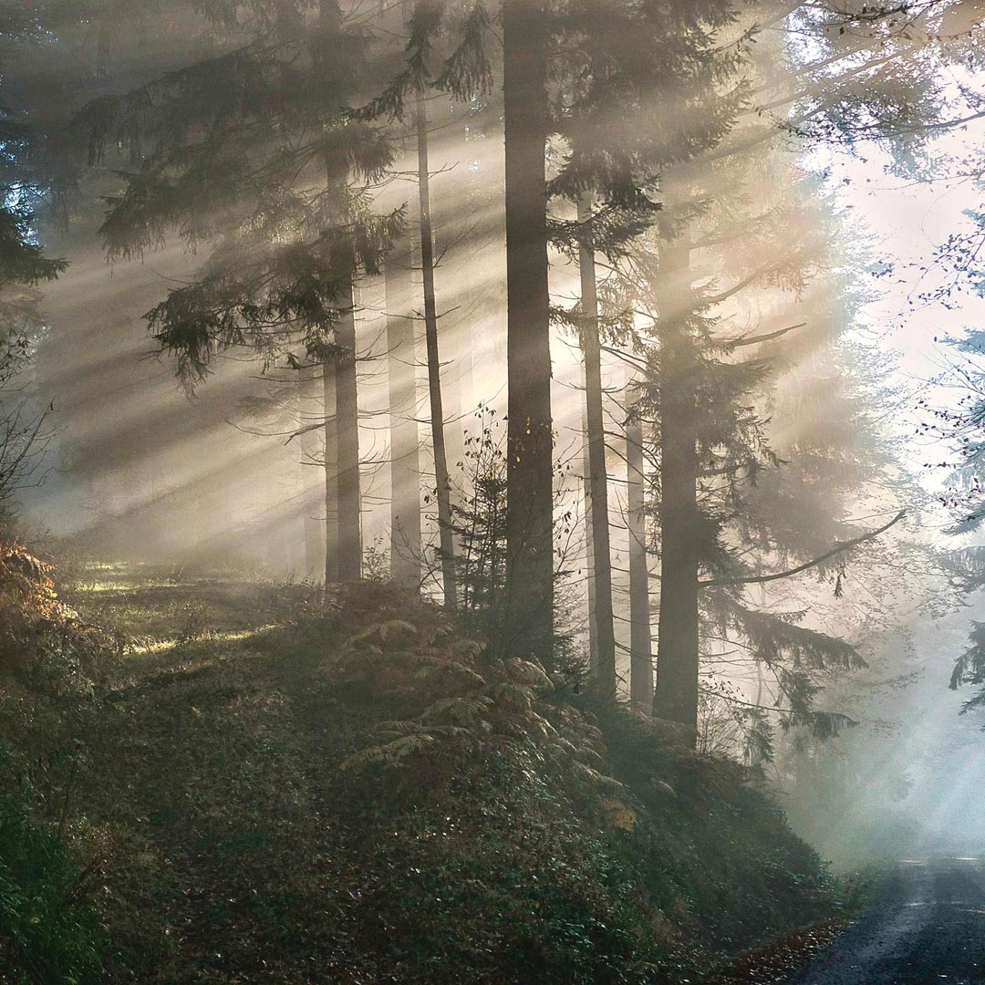 Embark on a transformative journey—discover your soul's purpose through Quantum Healing Hypnosis.