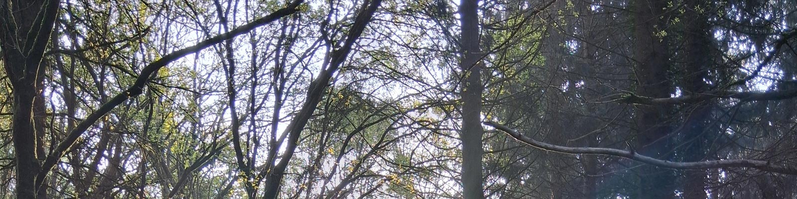Image of a serene therapy room prepared for a QHHT session, representing the setting and cost details of the service. Image of a serene therapy room prepared for a QHHT session, representing the setting and cost details of the service.